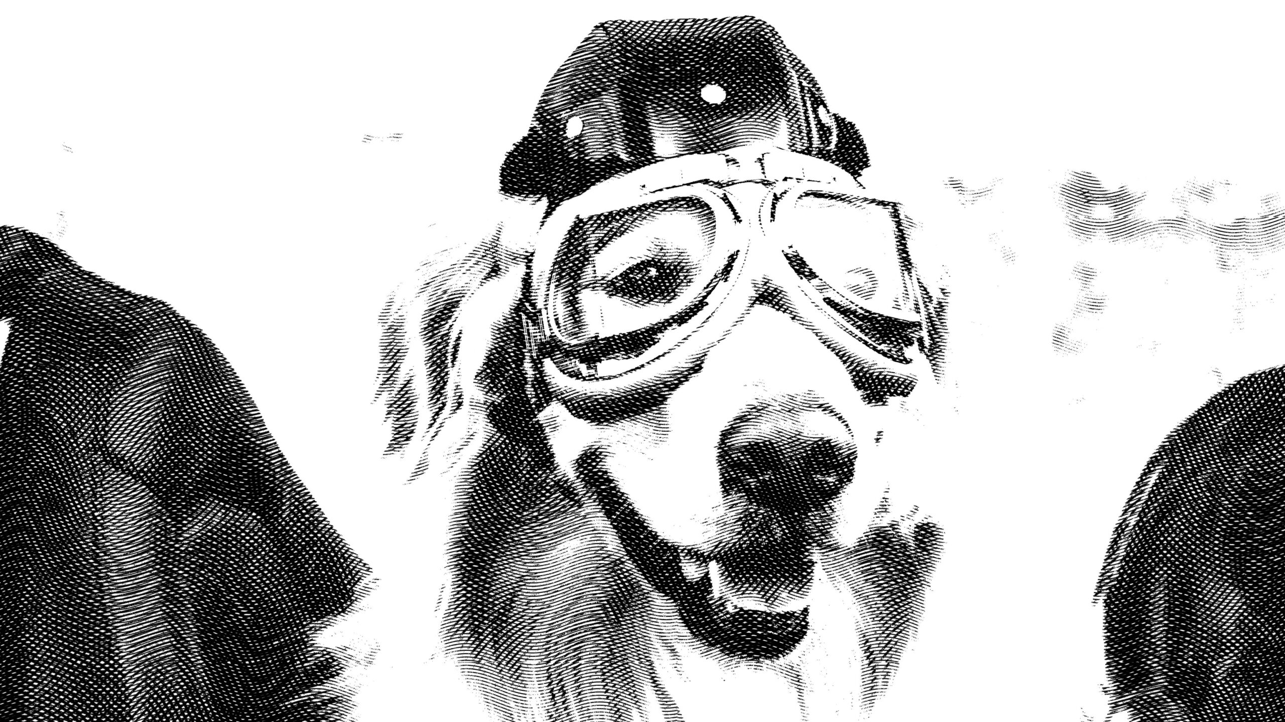 simulando dinheiro no photoshop