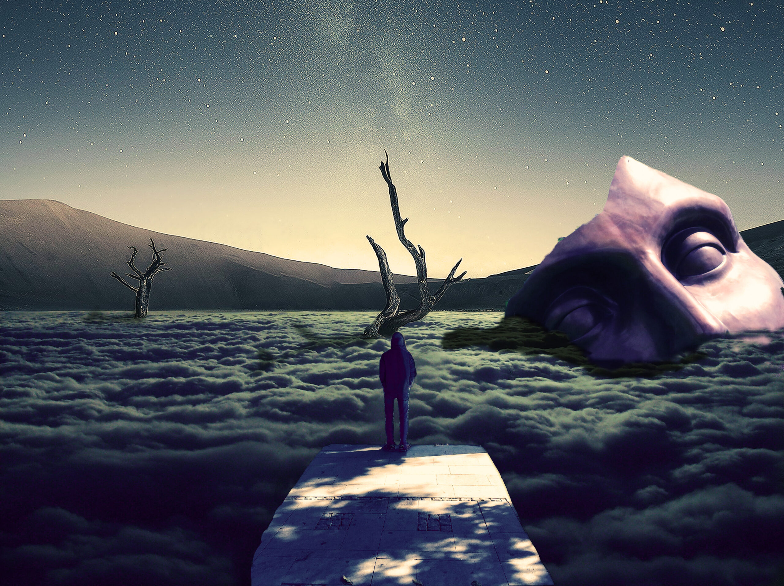 manipulação de imagens photoshop cc 2019