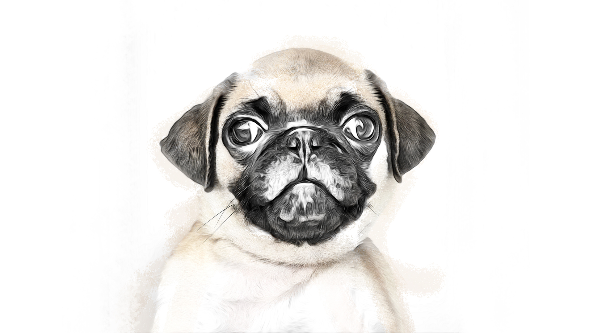 Como transformar uma foto em skech no photoshop