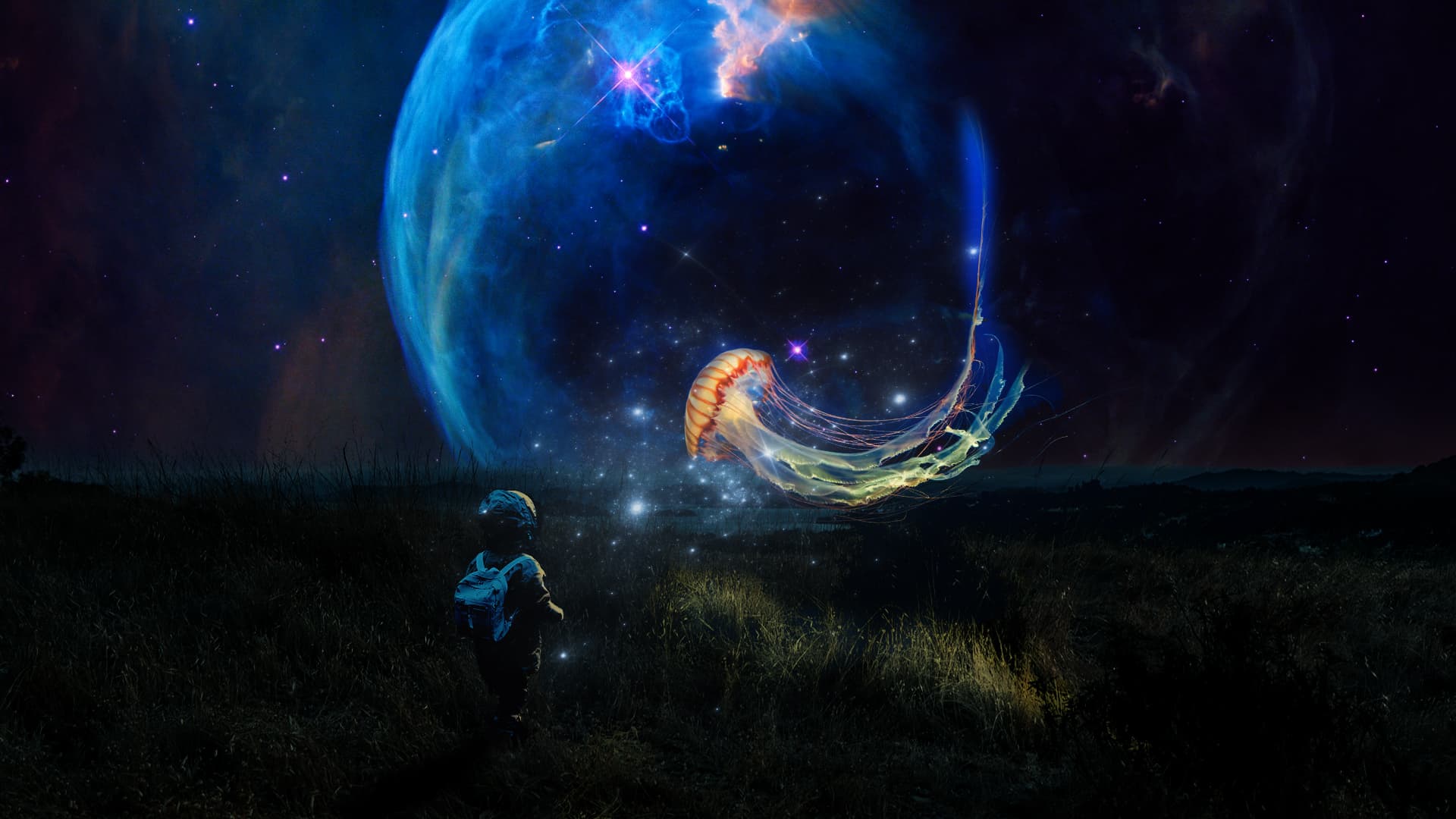 Manipulação de imagens Photoshop the jelly fish