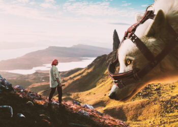 manipulação de imagens Photoshop